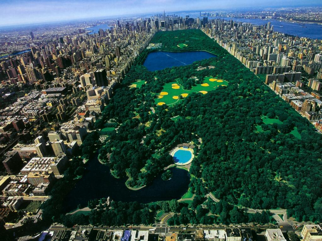 Central Park New York Oase Dibelantara Hutan Gedung