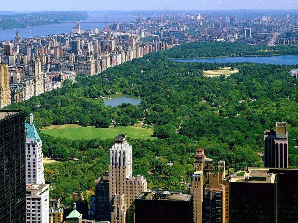 Central Park New York Oase Dibelantara Hutan Gedung