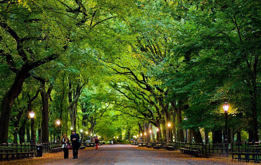 Central Park New York Oase Dibelantara Hutan Gedung