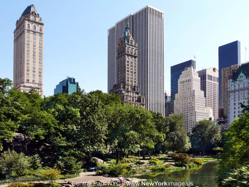 Central Park New York Oase Dibelantara Hutan Gedung