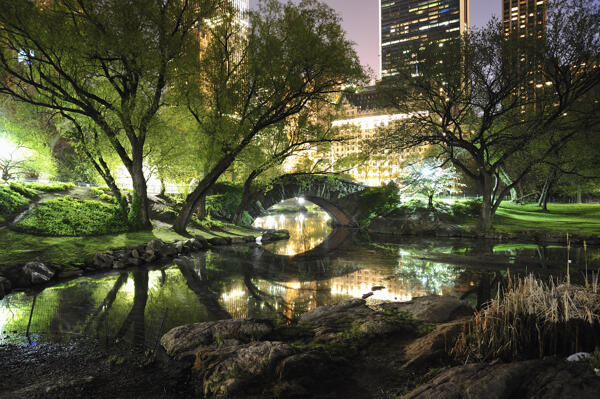 Central Park New York Oase Dibelantara Hutan Gedung