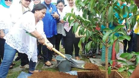 Nyonya Jokowi dan Nyonya Ahok Tanam Pohon Jambu Jamaika di Waduk Pluit