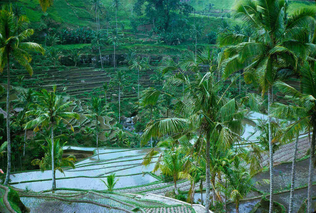 Keindahan Foto-Foto Pulau Bali Tahun 70-an