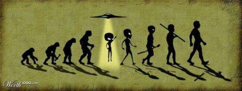 Inilah Berbagai Gambar Evolusi Manusia&#91;full Pict&#93;