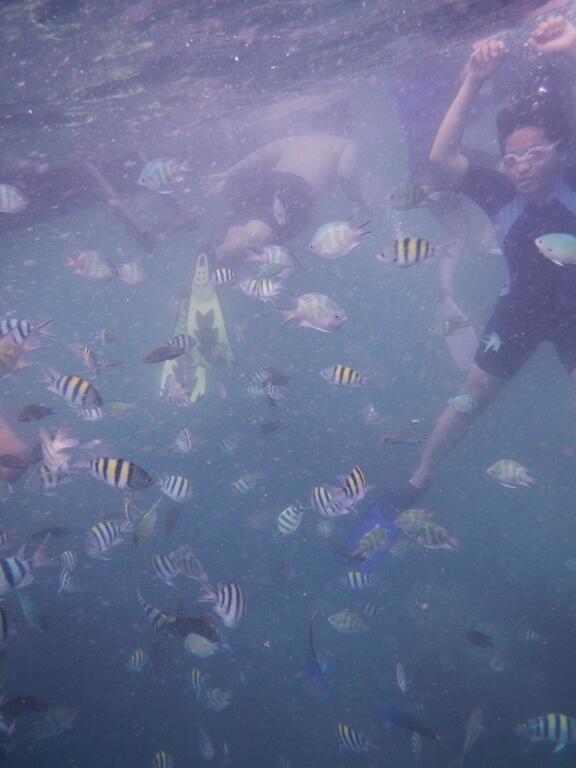 Wisata Kepulauan Seribu: Short Trip Pelepas Penat
