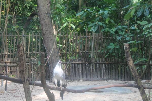 Wisata Kepulauan Seribu: Short Trip Pelepas Penat