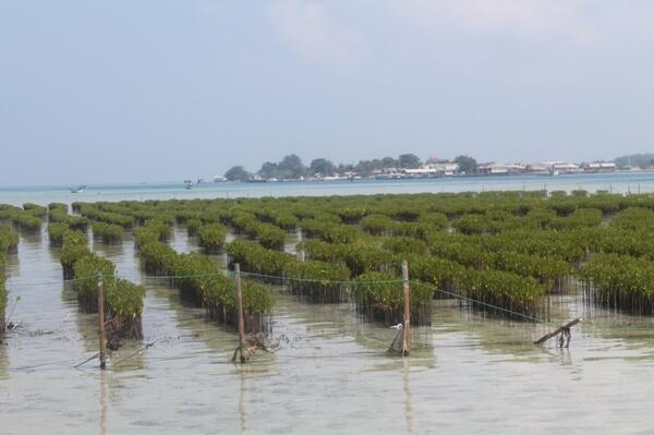 Wisata Kepulauan Seribu: Short Trip Pelepas Penat
