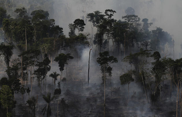 &#91;FULL PICT&#93; Perubahan Amazon dari surga menuju kerusakan