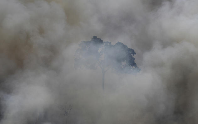 &#91;FULL PICT&#93; Perubahan Amazon dari surga menuju kerusakan