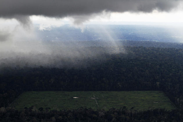 &#91;FULL PICT&#93; Perubahan Amazon dari surga menuju kerusakan