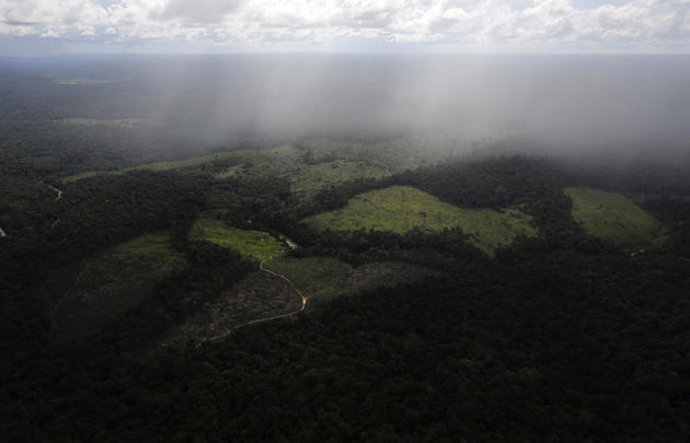 &#91;FULL PICT&#93; Perubahan Amazon dari surga menuju kerusakan