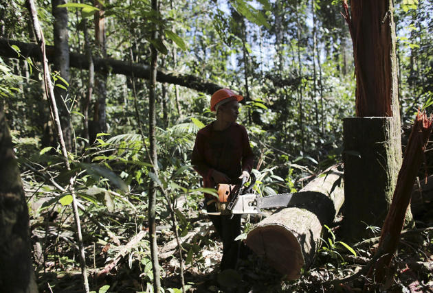 &#91;FULL PICT&#93; Perubahan Amazon dari surga menuju kerusakan