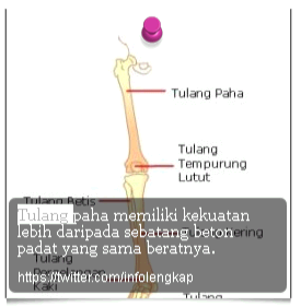 InsyaAllah Bermanfaat !