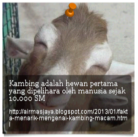 InsyaAllah Bermanfaat !
