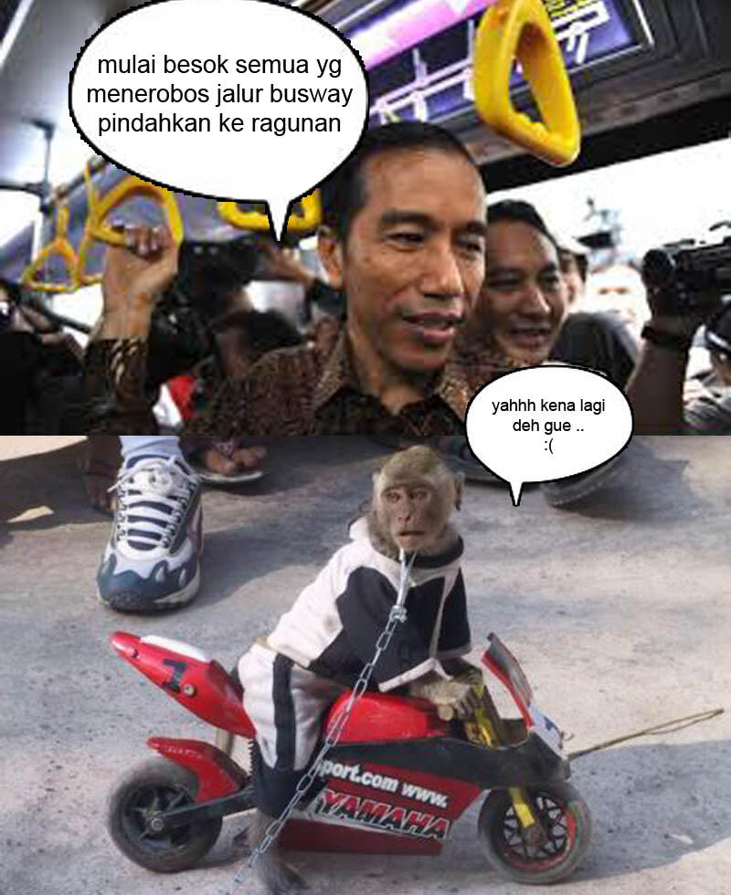 COMEDY STERILISASI JALUR TRANSJAKARTA