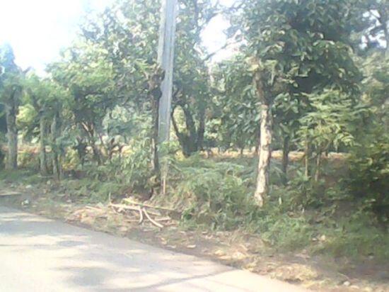 TANAH DARAT 690 METER -> 150 JUTA