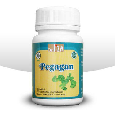 Kapsul PEGAGAN Untuk Daya Ingat, Konsentrasi dan Kecerdasan
