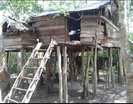 Rumah mempuanyai tiang terbanyak di dunia