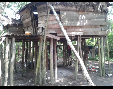 Rumah mempuanyai tiang terbanyak di dunia
