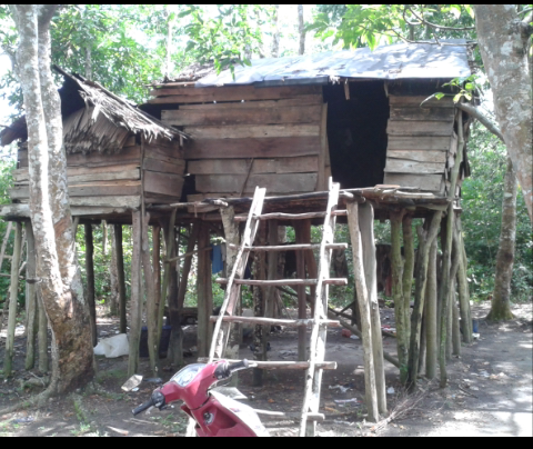 Rumah mempuanyai tiang terbanyak di dunia