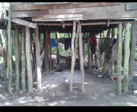 Rumah mempuanyai tiang terbanyak di dunia