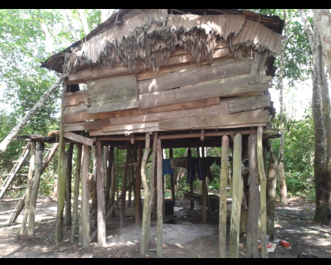 Rumah mempuanyai tiang terbanyak di dunia