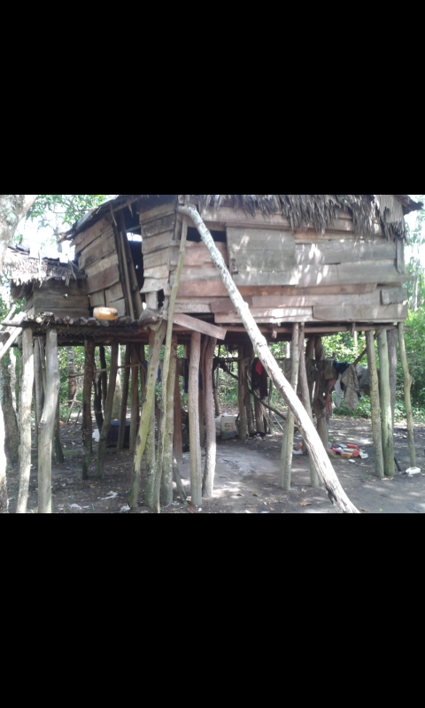 Rumah mempuanyai tiang terbanyak di dunia
