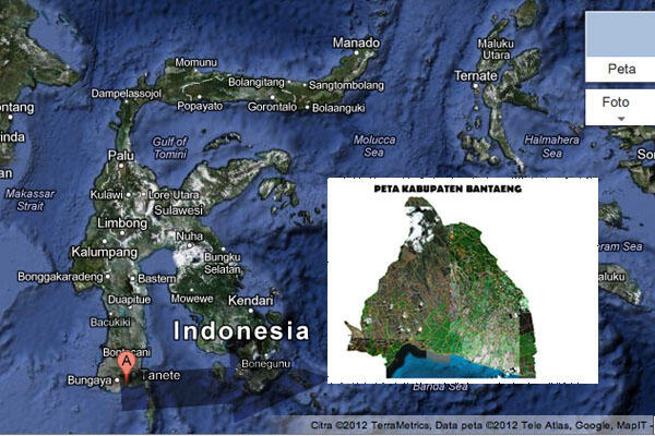 Peta kerusakan hutan diciptakan