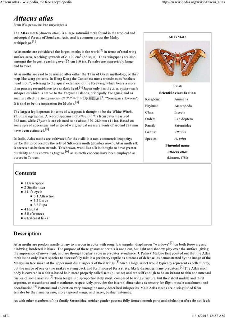 attacus atlas : si kupu - kupu raksasa