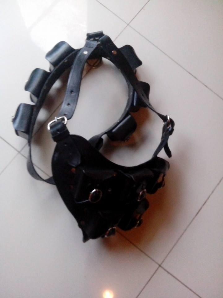 Asesories Anjing Model K9 Police Dog