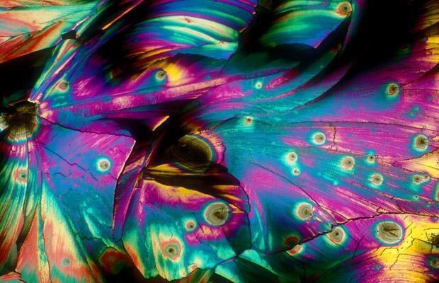foto-foto minuman beralkohol jika dilihat melalui mikroskop 