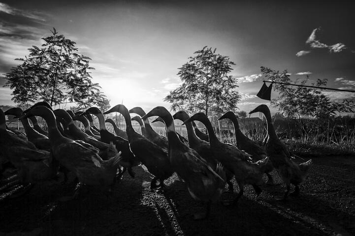 10 Foto Menakjubkan Peserta Kontes Foto National Geographic 2013 (ada yg dari Indo)