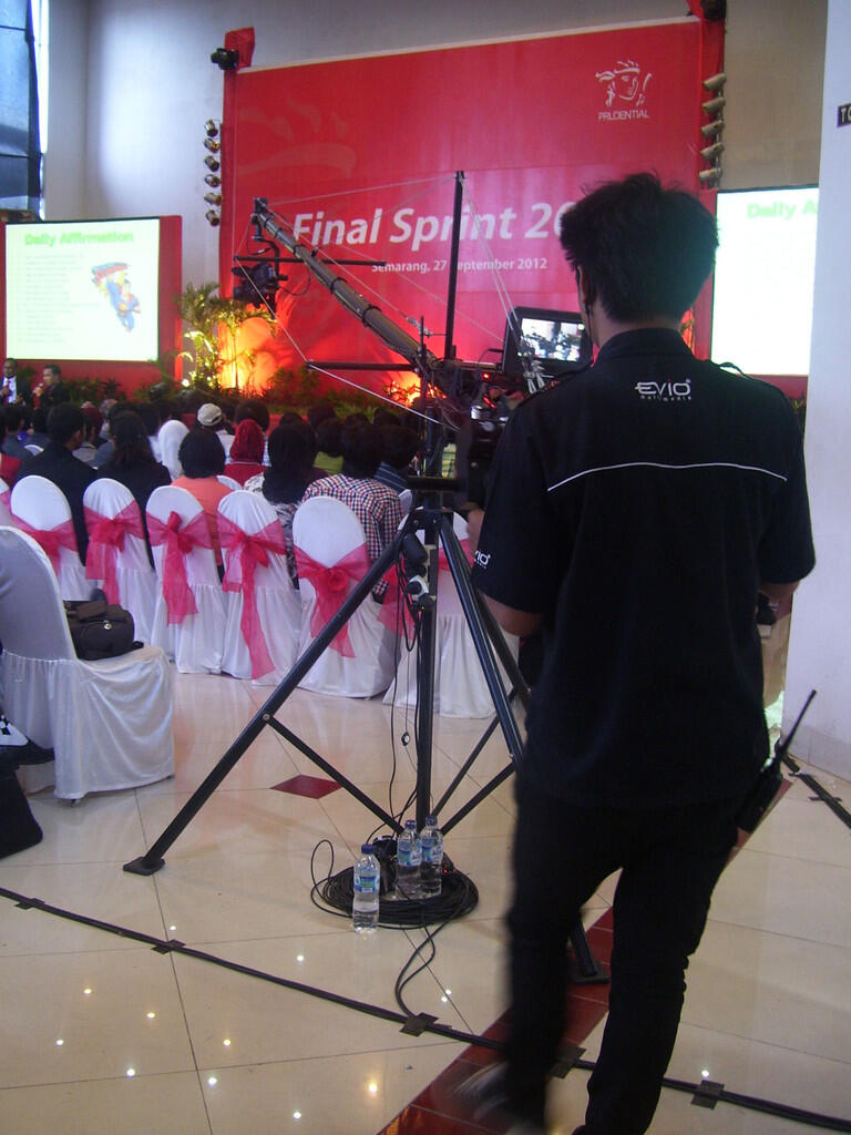 PROFESSIONAL MULTIMEDIA SERVICE