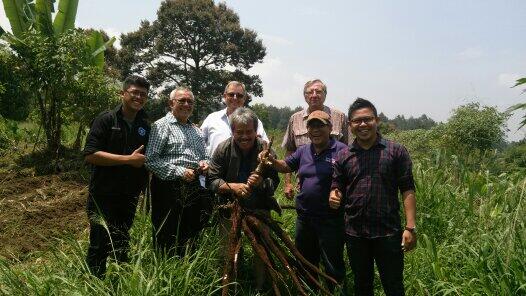 Butuh pemasaran sapi potong 1000 ekor