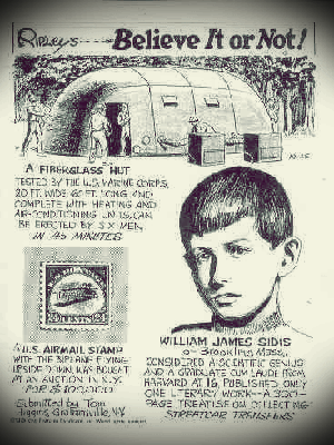 Manusia tergenius / terpintar di dunia