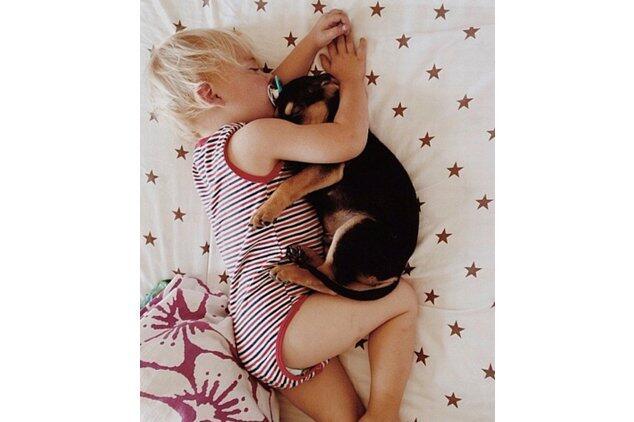 (MENGGEMASKAN) Balita dan Anjingnya Tidur Bareng Tiap Hari Seperti Saudara Kandung 