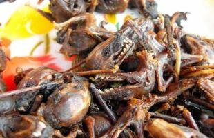 Makanan extreme asli indonesia