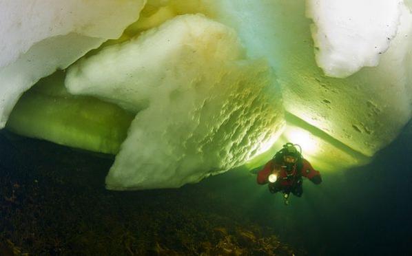 Menjelajah Dunia Lain Dalam Russia’s White Sea Melalui Ice Diving