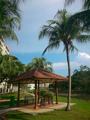 Mobile Photography