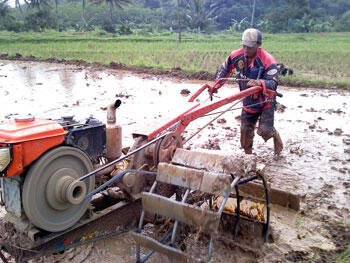 MEMBAJAK SAWAH NIH