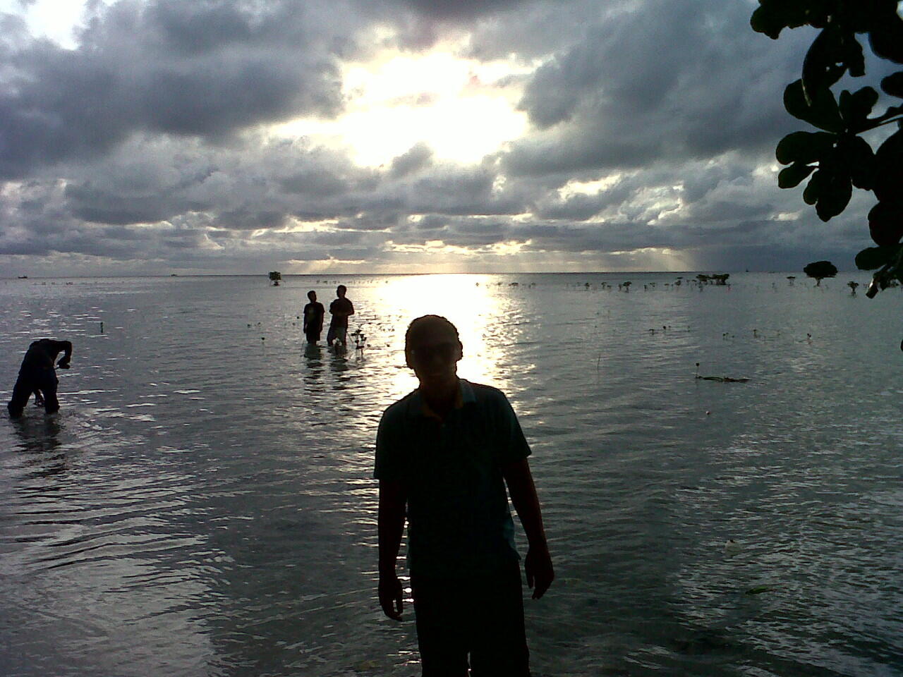 Goes to Pari Island