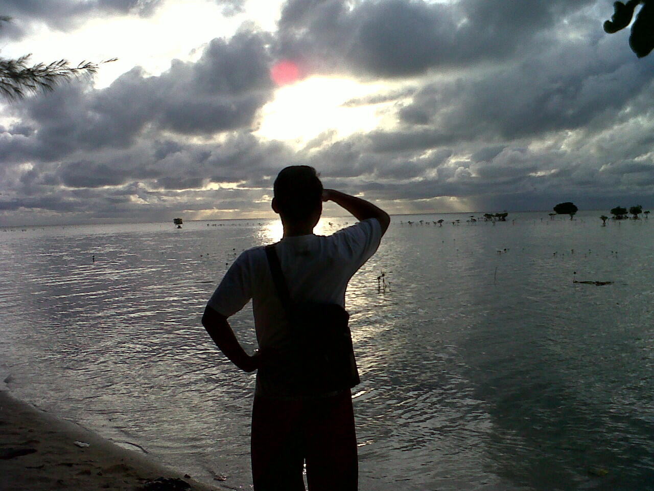 Goes to Pari Island