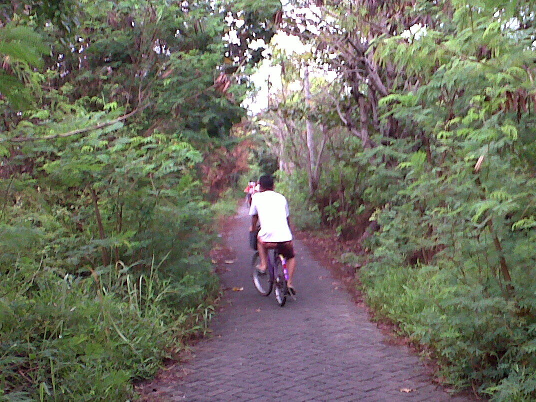 Goes to Pari Island