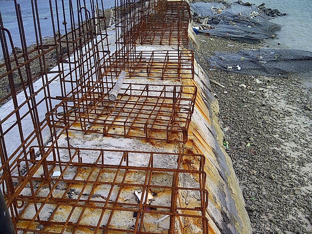 Goes to Pari Island