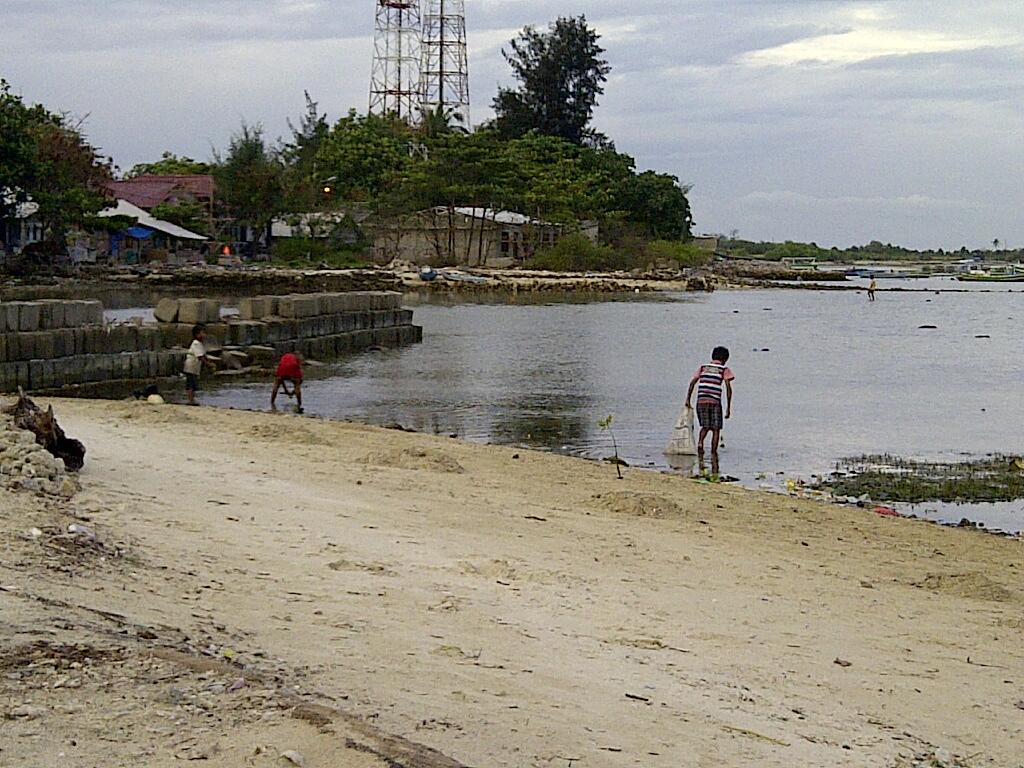 Goes to Pari Island