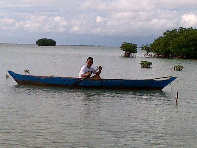 Goes to Pari Island