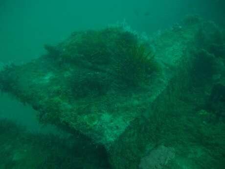 Penampakan Benda pada Kapal Hitler U-Boat di Laut Karimunjawa