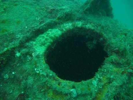 Penampakan Benda pada Kapal Hitler U-Boat di Laut Karimunjawa