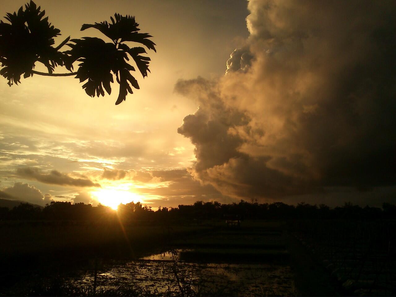 &#91;KEREN&#93; Senja di sore hari 19/11/2013