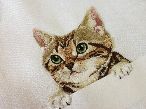 tren baru di jepang gans: Gambar-gambar Lucu Kucing di atas saku Kemeja